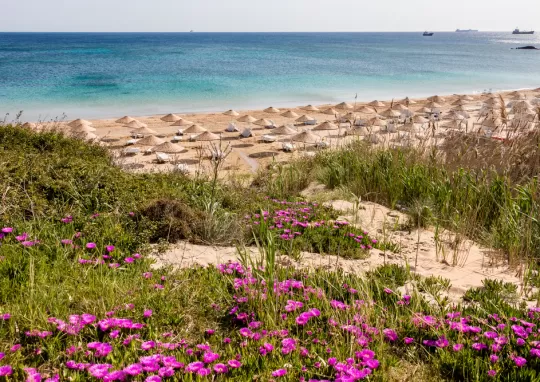 bozcaada turu otobüslü